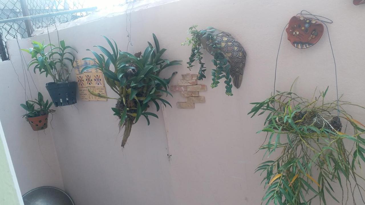 Kota'S House Homestay Huế Phòng bức ảnh
